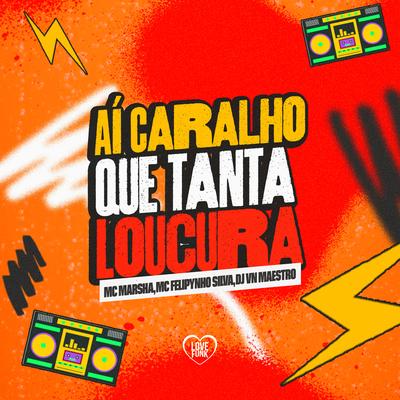 Aí Caralho Que Tanta Loucura By MC Marsha, Mc Felipinho Syllva, Dj VN Maestro, Love Funk's cover