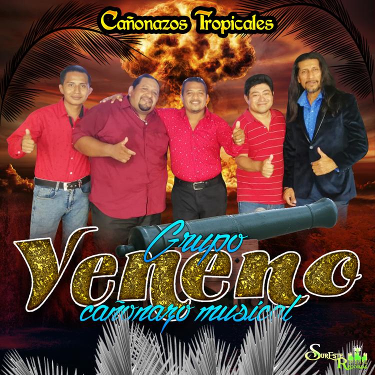 Grupo Veneno Cañonazo Musical's avatar image