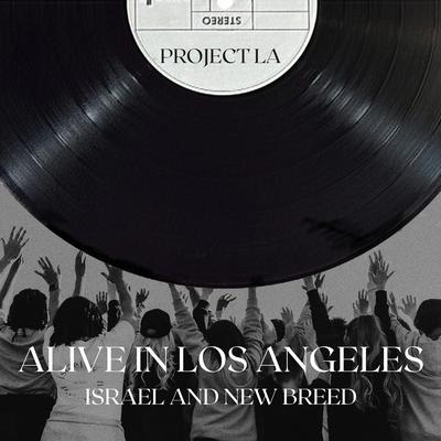 You Are Good By Israel & New Breed's cover