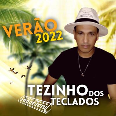 Meu Endereço É Porta de Bar By Tézinho dos Teclados's cover