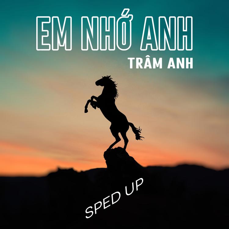 Trâm Anh's avatar image