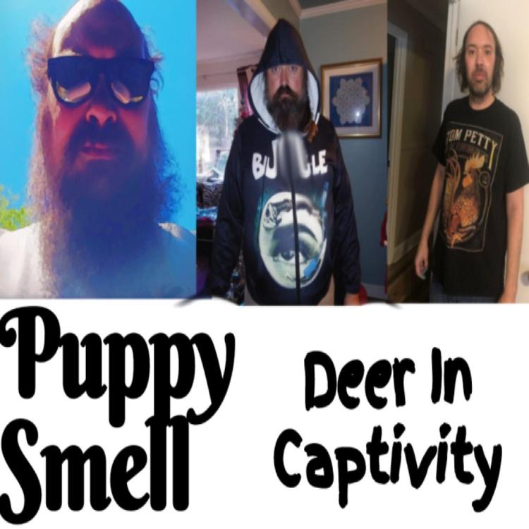 Puppy Smell's avatar image