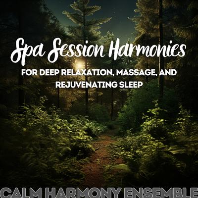 Quiet Contemplation By Calm Harmony Ensemble, Relaxing Music, Music For Sleeping and Relaxation's cover