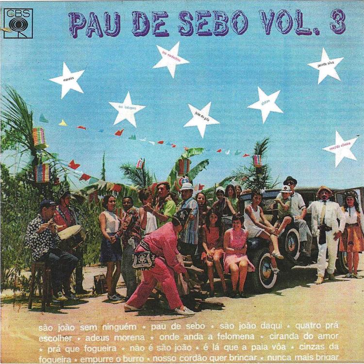 Pau de Sebo's avatar image