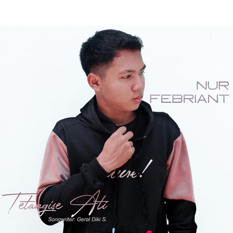 Nur Febriant's avatar image