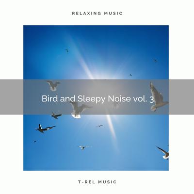 ! ! ! ! ! ! ! Bird and Sleepy Noise vol. 3's cover