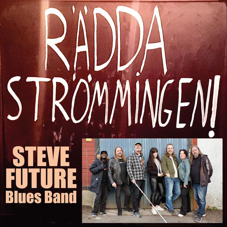 Steve Future Blues Band's avatar image