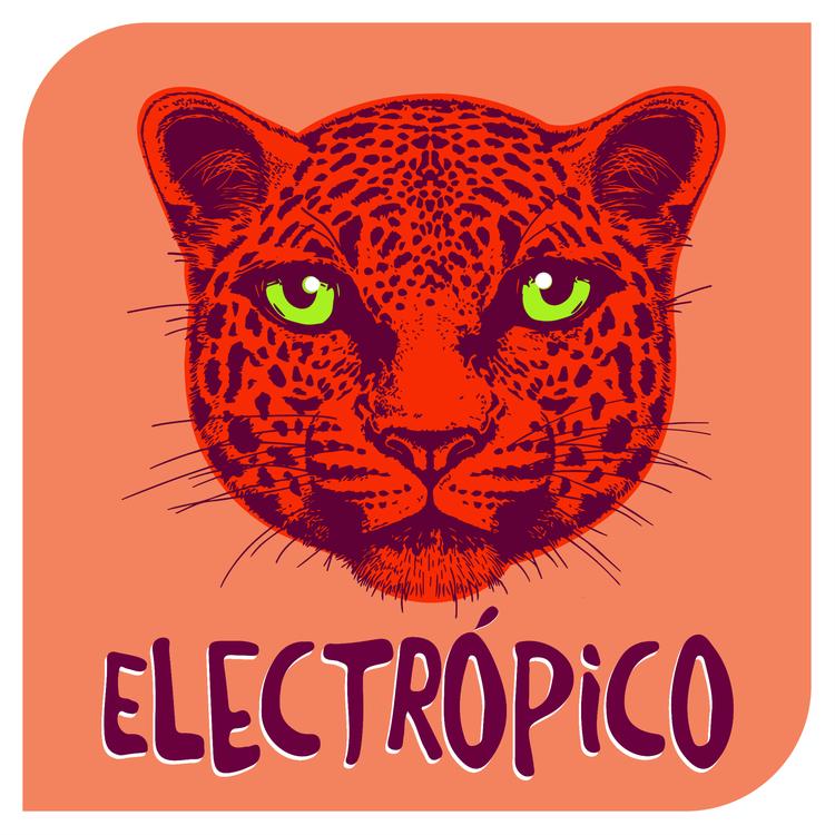 Electropico's avatar image