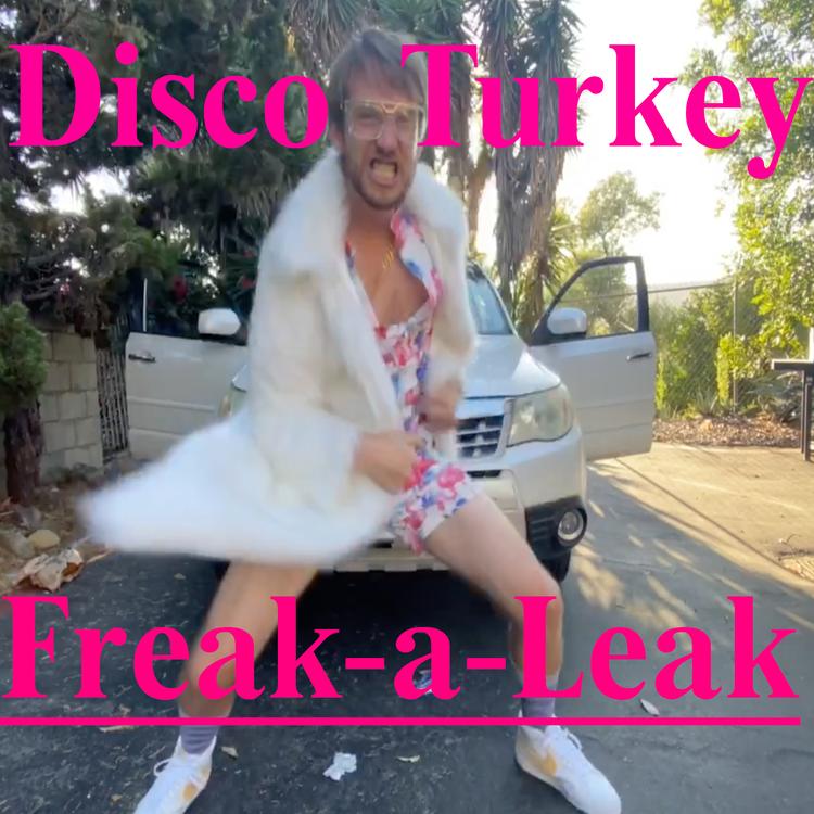 Disco Turkey's avatar image