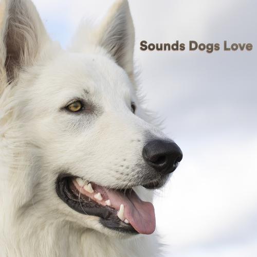 Soothing sounds hot sale for dogs