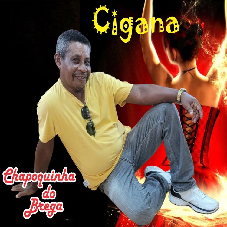 Chapoquinha do Brega's avatar image