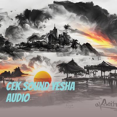 Cek Sound Yesha Audio's cover