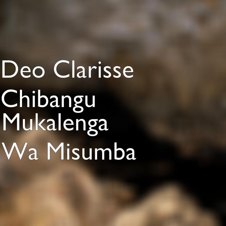 Deo Clarisse Chibangu's avatar image