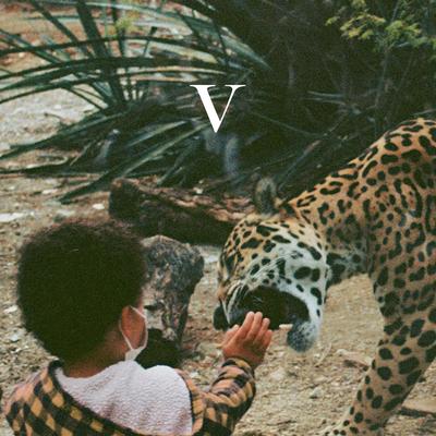 V's cover