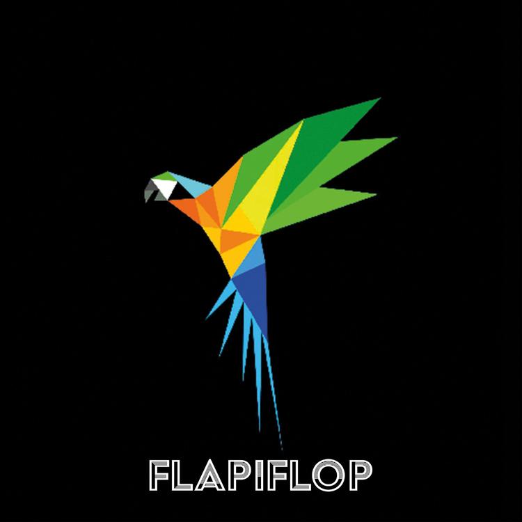 flapiflop music's avatar image