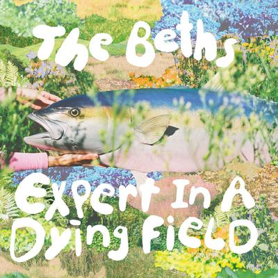 Expert In A Dying Field By The Beths's cover
