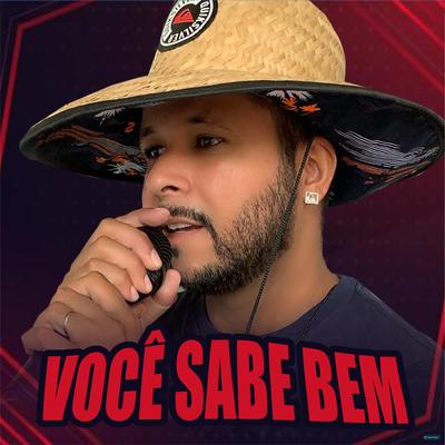 Você Sabe Bem (feat. MC Mirella & Mc Branquinha) (feat. MC Mirella & Mc Branquinha) (Remix) By O Boy da Seresta, MC Mirella, Mc Branquinha's cover