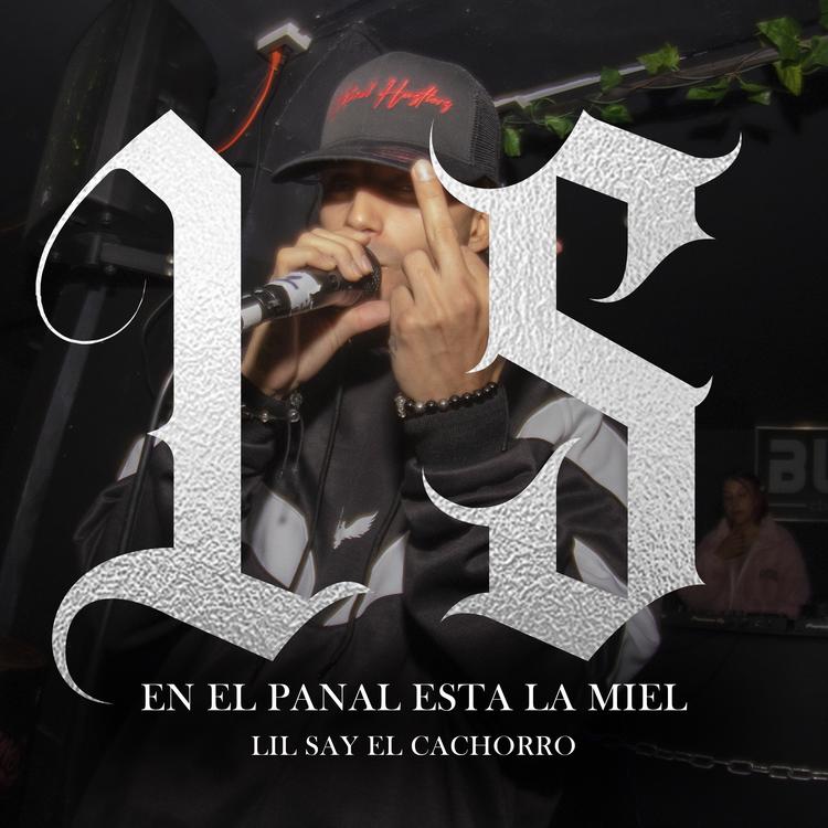 Lil Say El Cachorro's avatar image