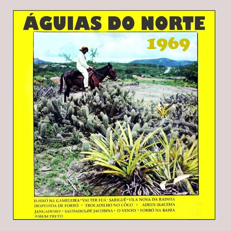 Águias do Norte's avatar image