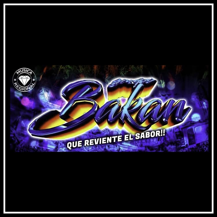 Grupo Bakan's avatar image