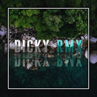 DICKY RMX's cover