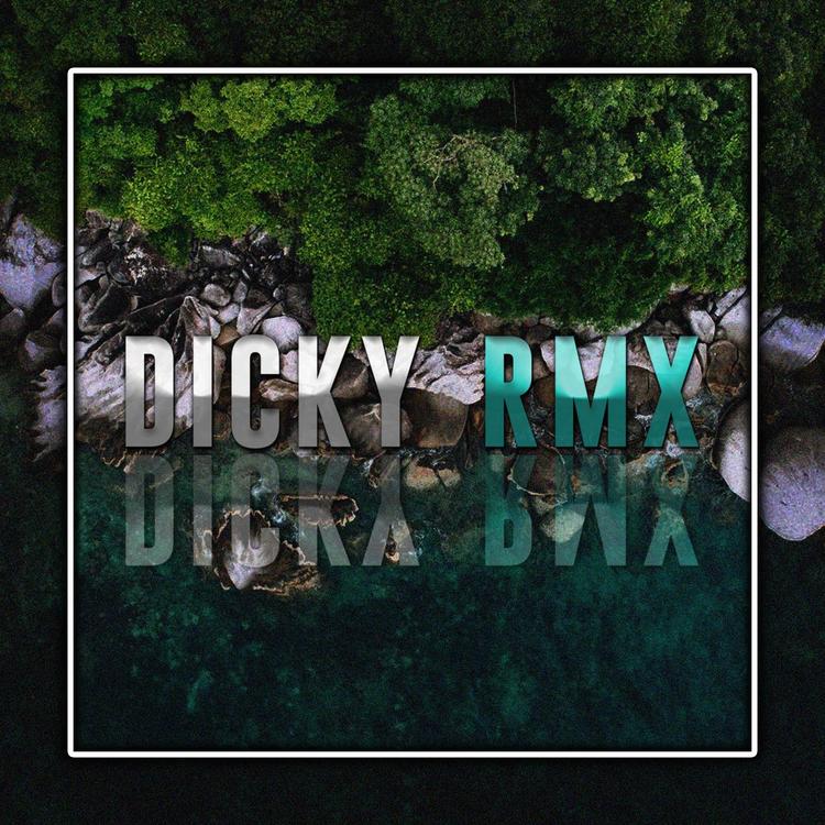 DICKY RMX's avatar image