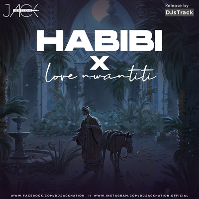 Habibi X Love Nwantiti (Mashup)'s cover