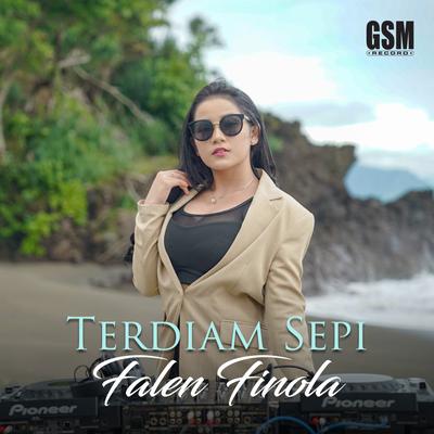 Terdiam Sepi's cover