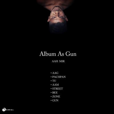 Album As Gun's cover