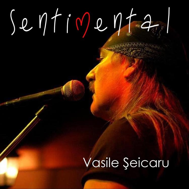 Vasile Seicaru's avatar image