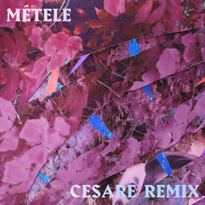 Métele (Cesare Remix) By Buscabulla's cover