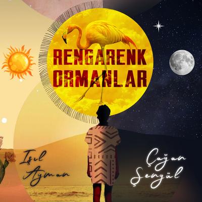 Rengarenk Ormanlar's cover