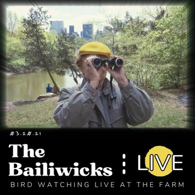 Bird Watching Live at the Farm's cover