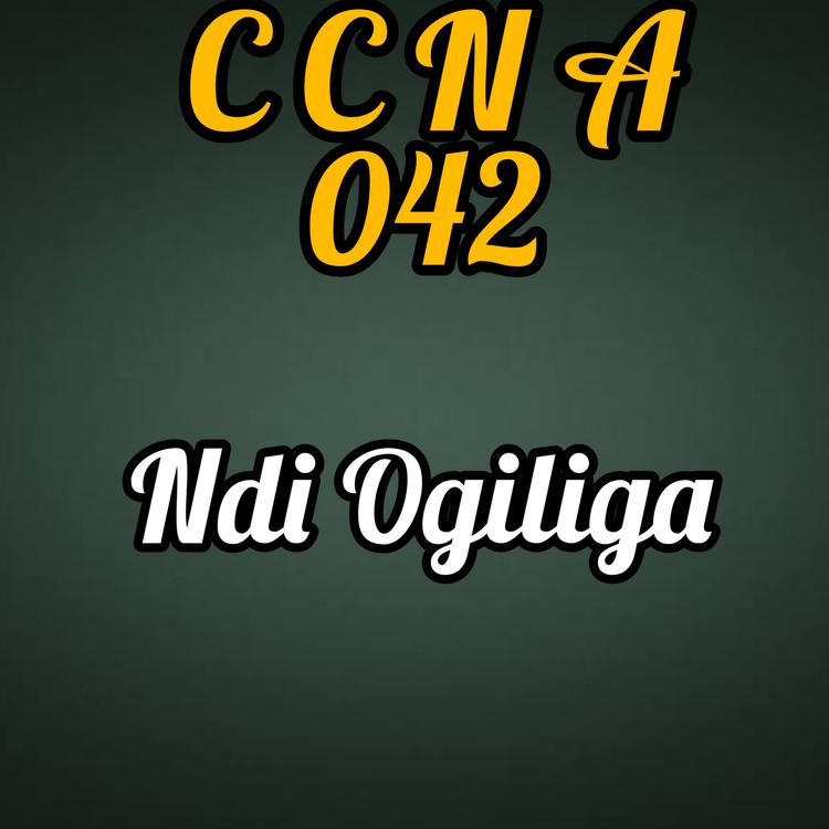 C C N A 042's avatar image