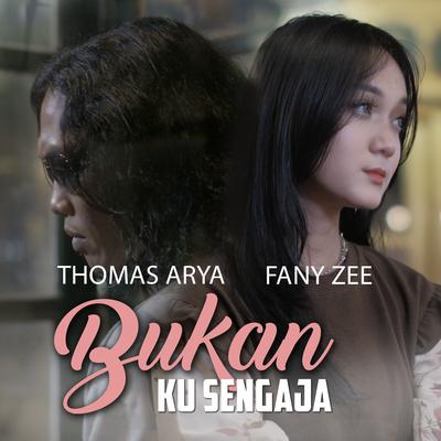 Bukan Ku Sengaja By Fany Zee, Thomas Arya's cover