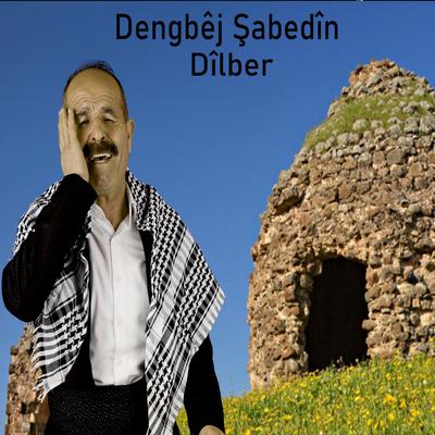 Dîlber's cover