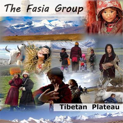 The Fasia Group's cover