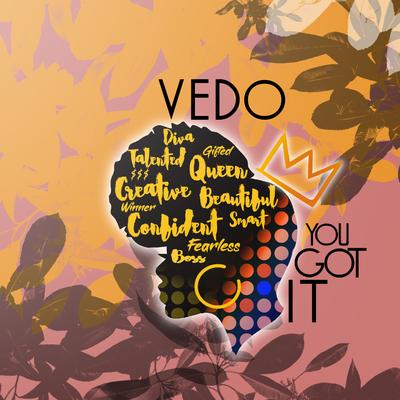 You Got It By Vedo's cover