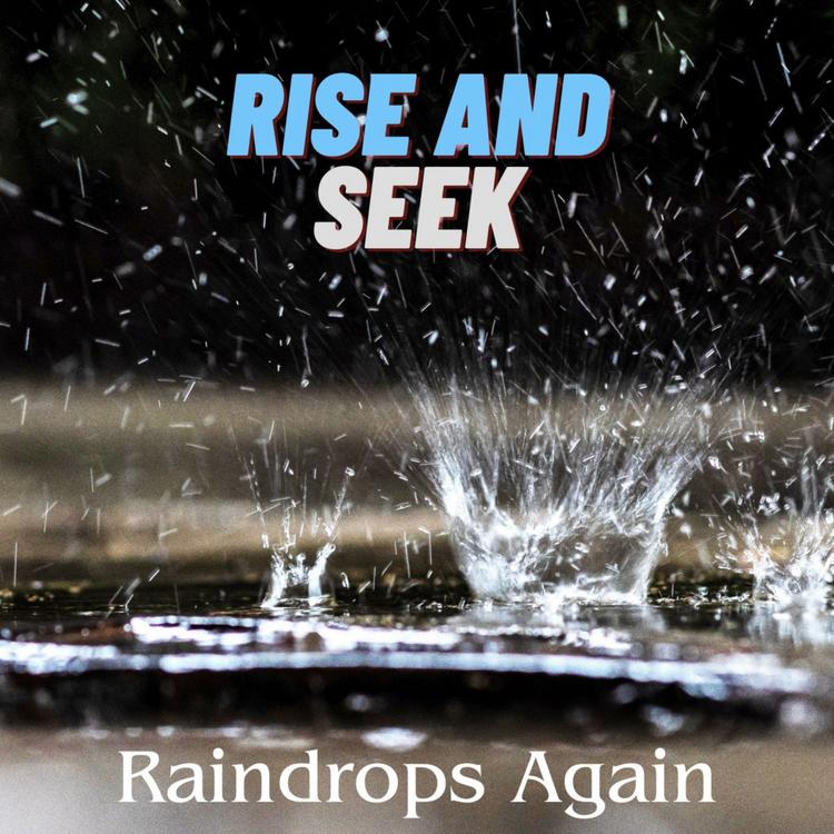 Rise and Seek's avatar image