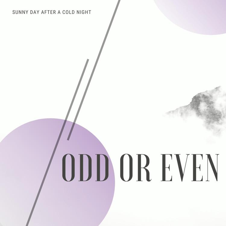 Odd or Even's avatar image
