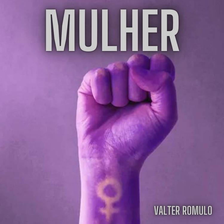 Valter Romulo's avatar image