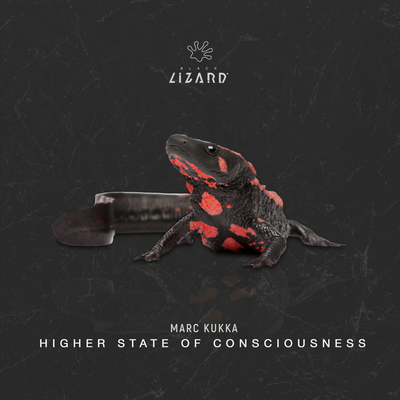 Higher State Of Consciousness By Marc KUKKA's cover