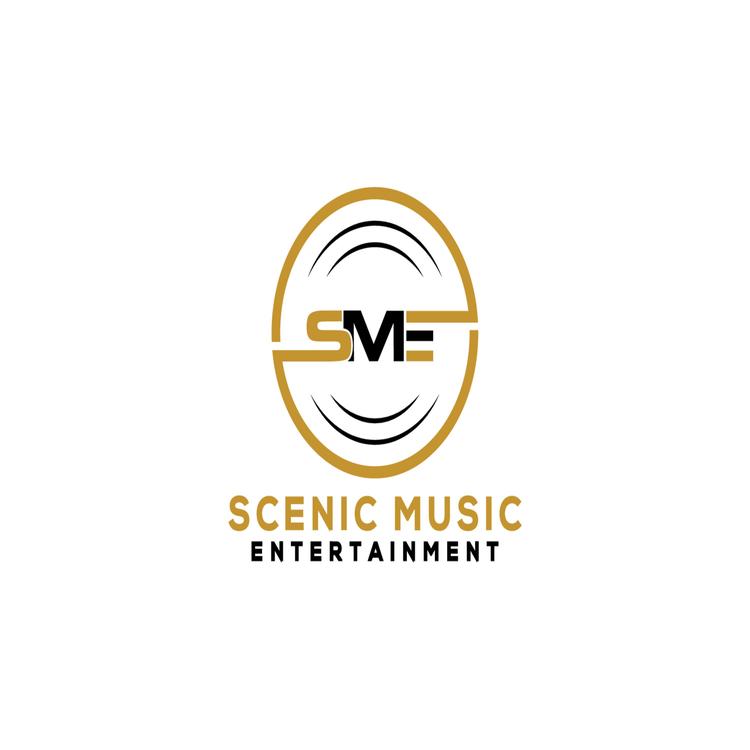 Scenic Music Entertainment's avatar image