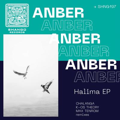 Halima (Original mix)'s cover