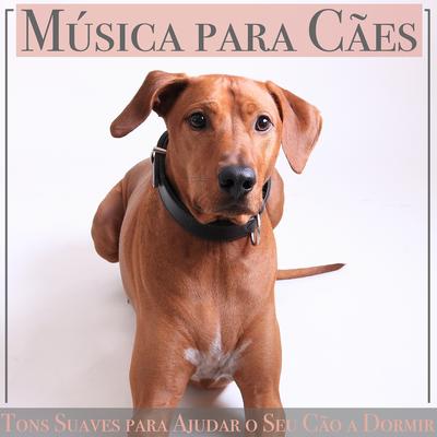 Caminhadas No Lago By Relaxmydog, Puppy Music Therapy, Dog Music Dreams's cover