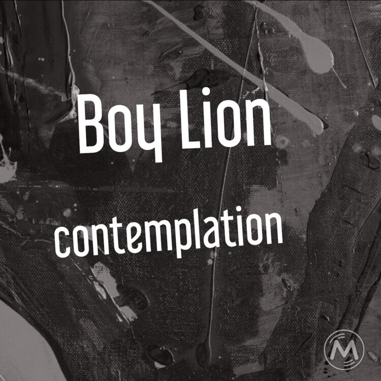 Boy Lion's avatar image