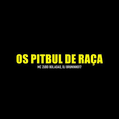 Os Pitbul de Raça By DJ BRUNINHO 17, MC Zudo Boladão's cover