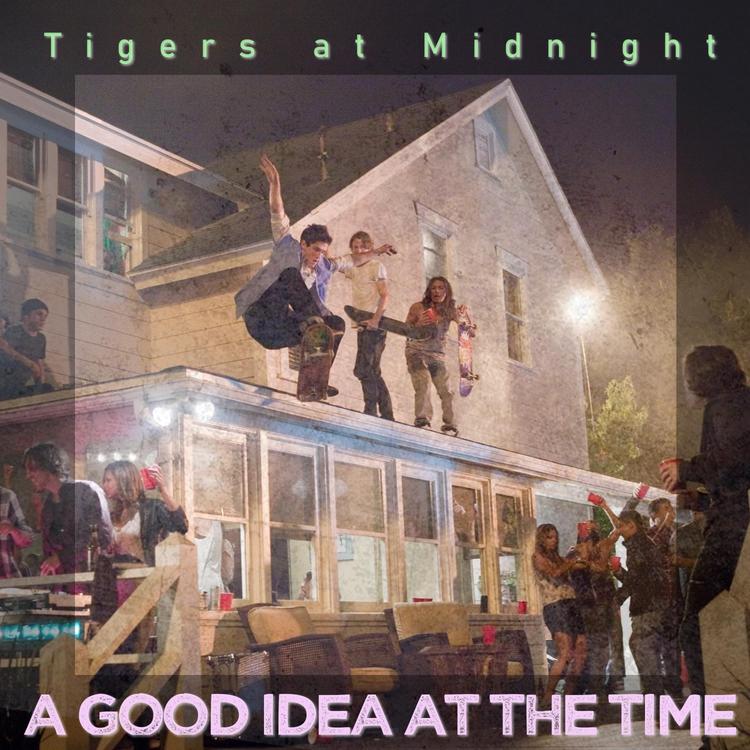 Tigers at Midnight's avatar image