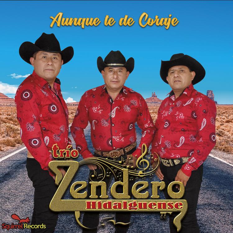 Trio Zendero Hidalguense's avatar image