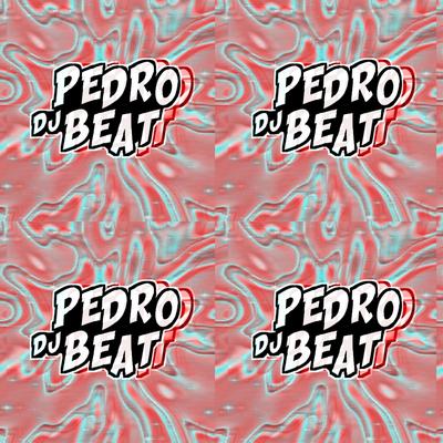 MEGA ENBRAZAVEL BOTA NELA By Dj pedro beat's cover